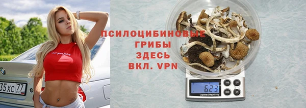 apvp Дмитровск