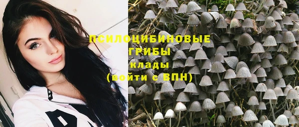 альфа пвп Дмитриев