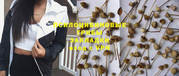 прущие крисы Дмитров